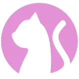 NekoGAL- Galgame传递者