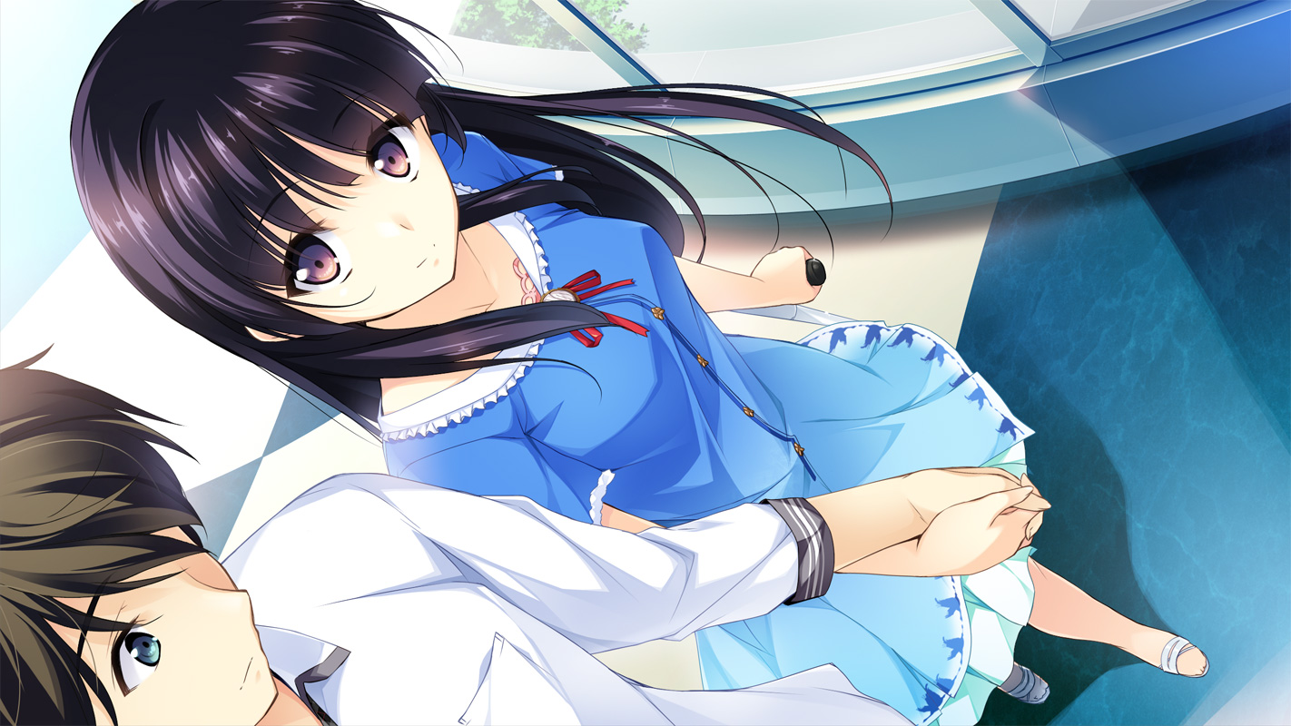 この大空に、翼をひろげて FLIGHT DIARY