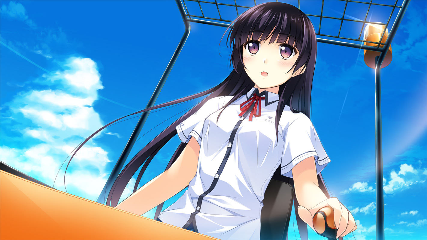 この大空に、翼をひろげて FLIGHT DIARY