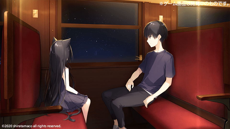 星空鉄道とシロの旅