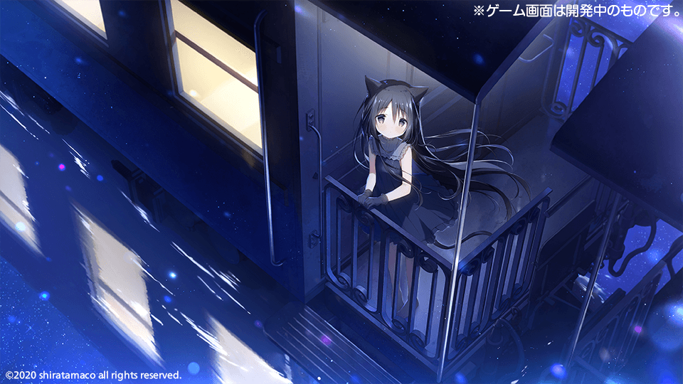 星空鉄道とシロの旅