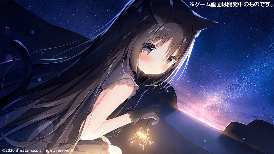 星空鉄道とシロの旅