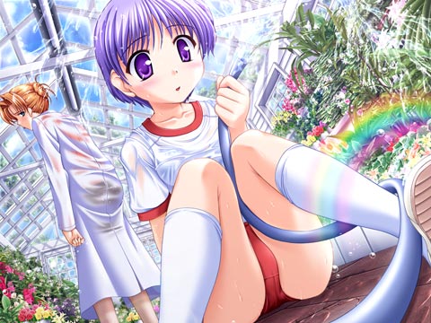 月は東に日は西に 〜Operation Sanctuary〜