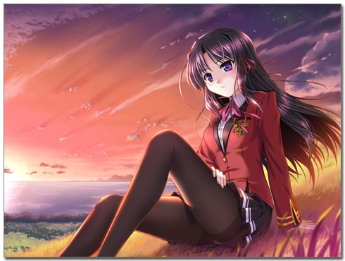 FORTUNE ARTERIAL