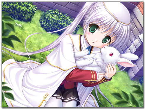 FORTUNE ARTERIAL