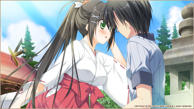 1/2 summer