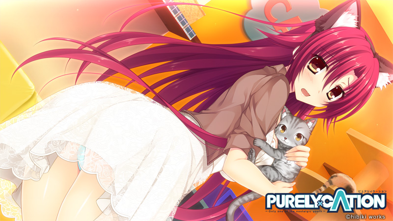 PURELY×CATION