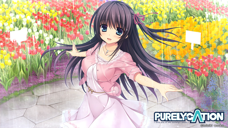 PURELY×CATION