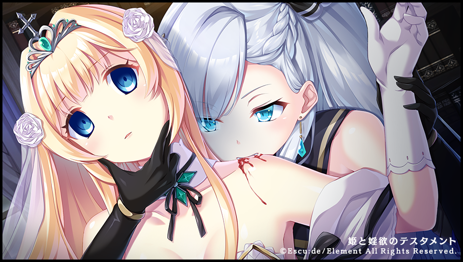 姫と婬欲のテスタメント