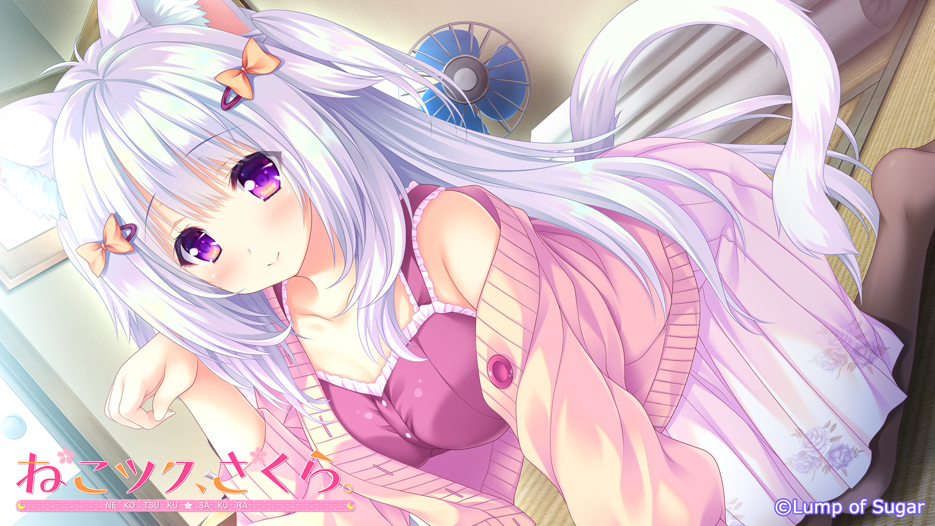 ねこツク、さくら。