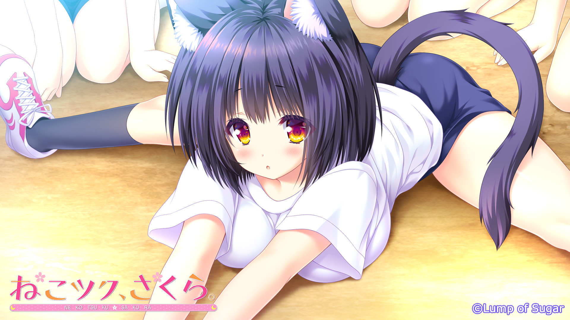 ねこツク、さくら。