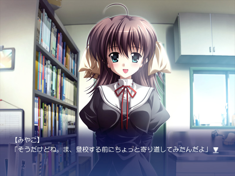 天使の日曜日-ef Pleasurable Box-