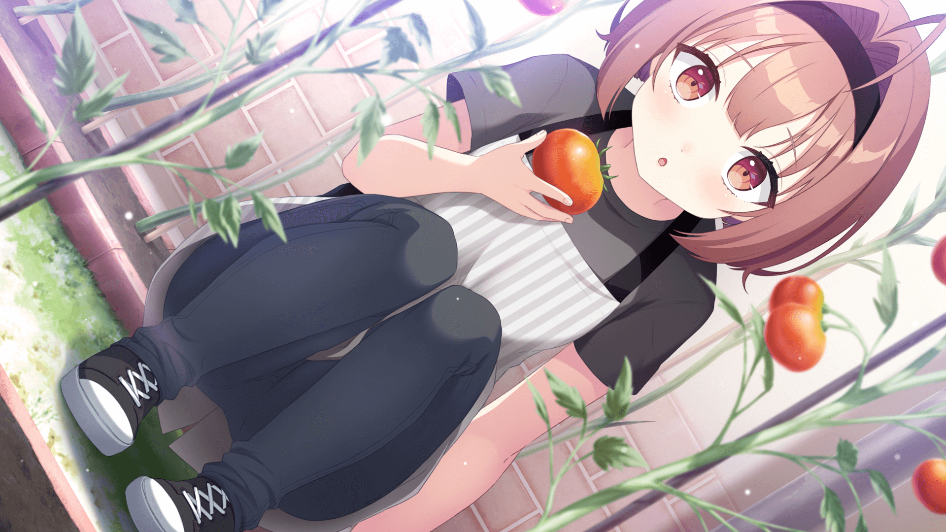 ネコと女子寮（ワカイ）せよ！