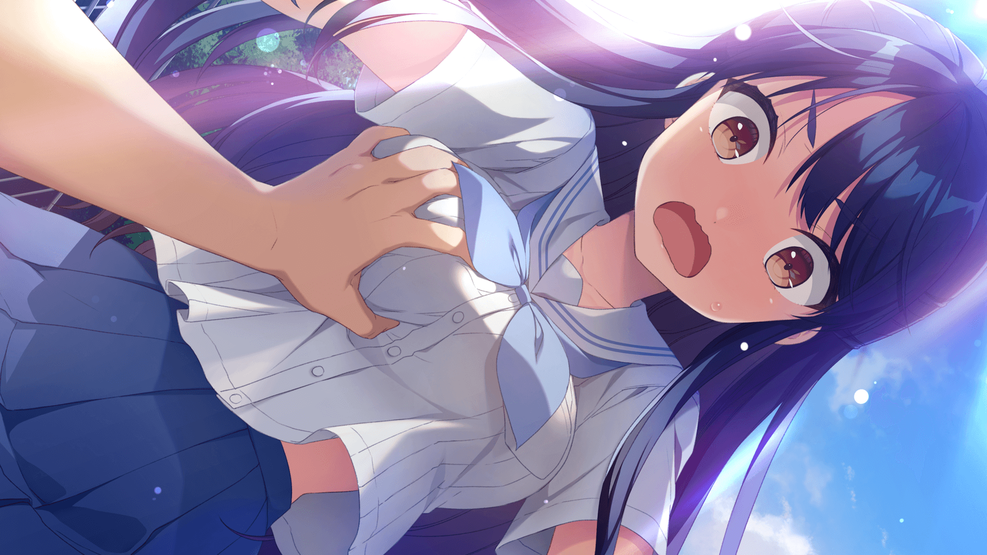 ネコと女子寮（ワカイ）せよ！