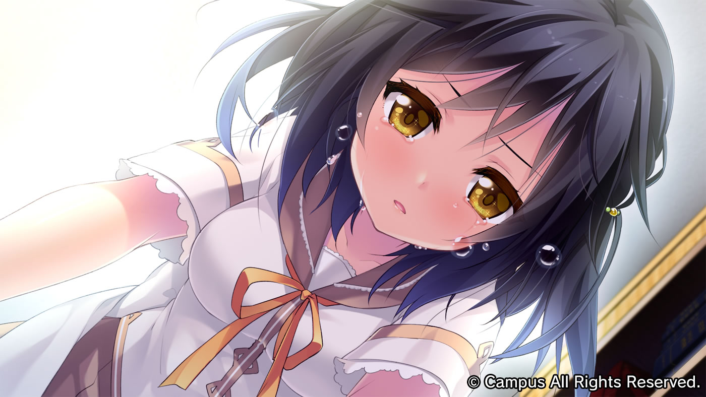 ナツウソ-Ahead of the reminiscence-