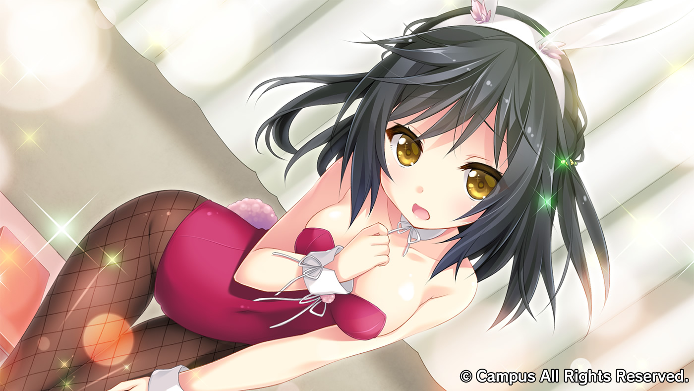 ナツウソ-Ahead of the reminiscence-