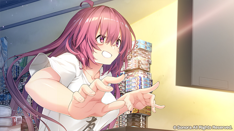 響野さん家はエロゲ屋さん！