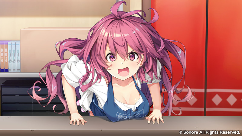 響野さん家はエロゲ屋さん！