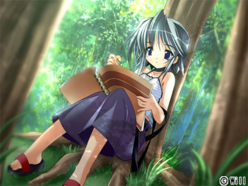 夏少女