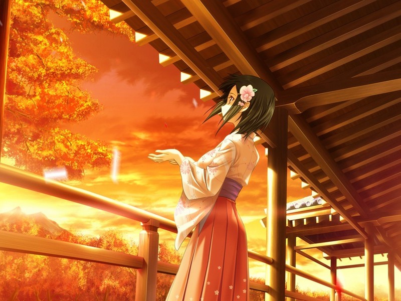 きっと、澄みわたる朝色よりも、