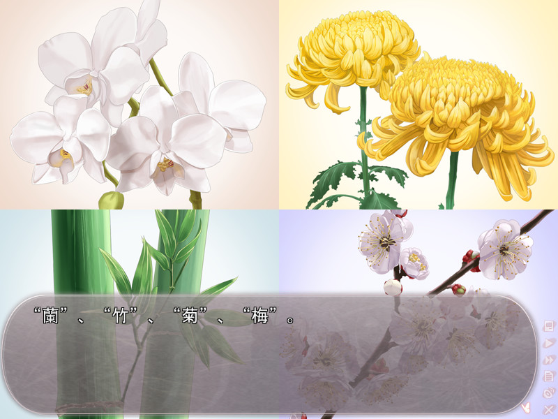 きっと、澄みわたる朝色よりも、