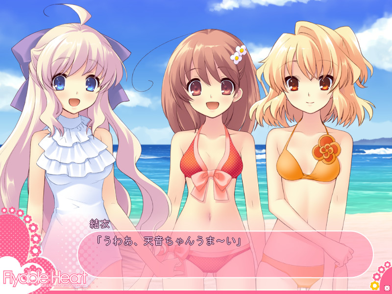Flyable Heart