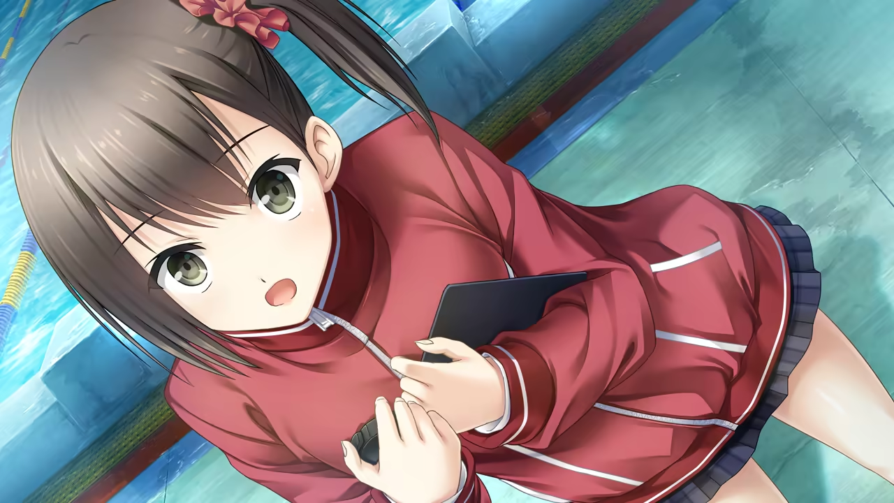 ハルキス