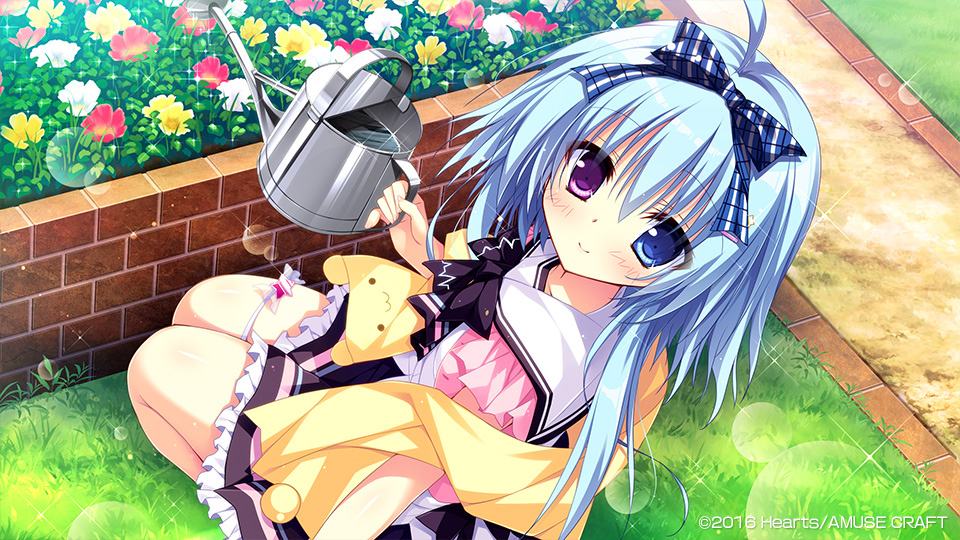 ナツイロココロログ