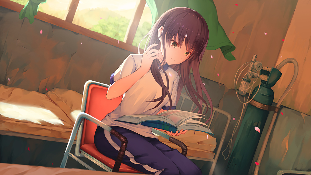 候鸟