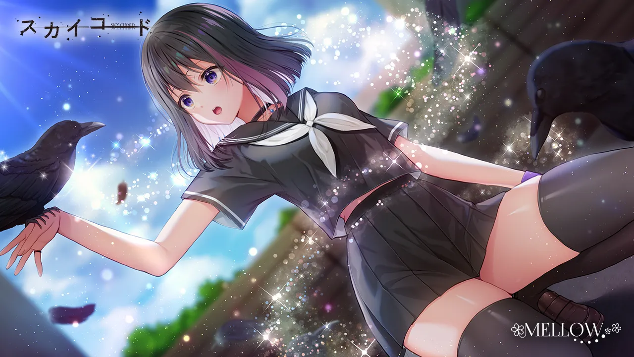 スカイコード